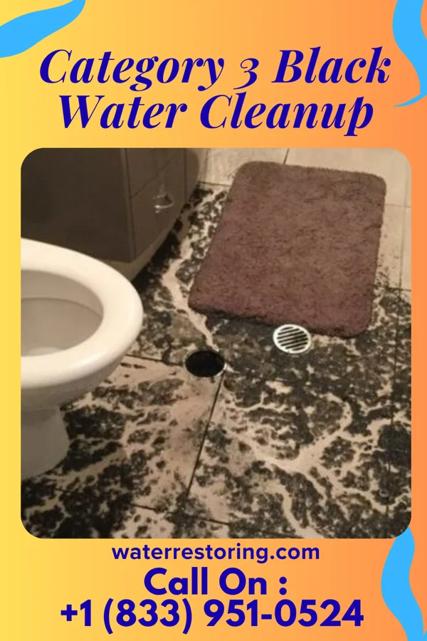Category 3 Black Water Cleanup in Licking, MO
