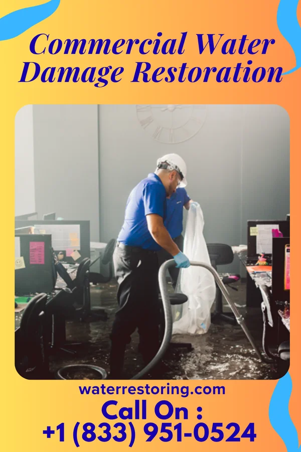 Commercial Water Damage Restoration in Licking, MO