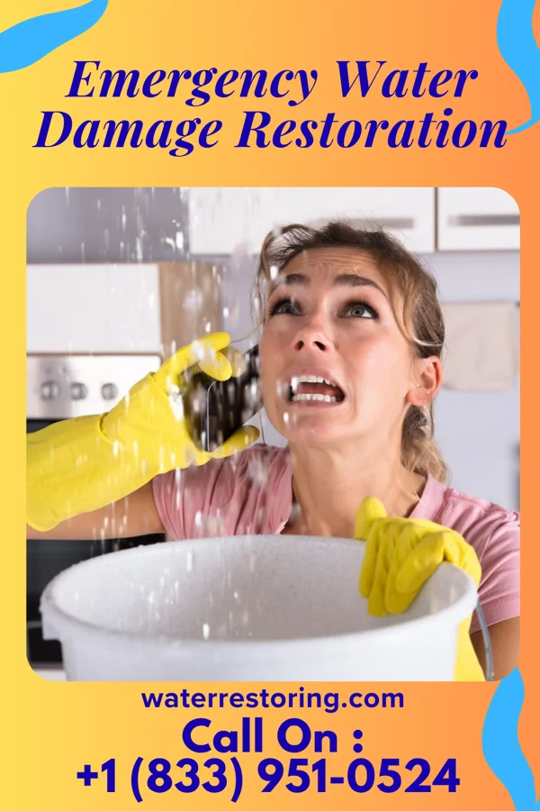Emergency Water Damage Restoration in Licking, MO