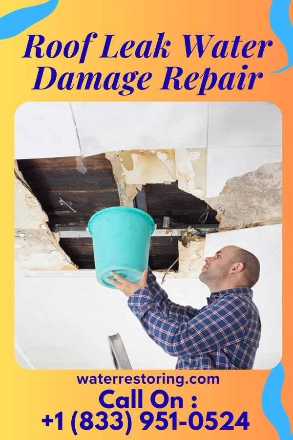 Roof Leak Water Damage Repair in Licking, MO